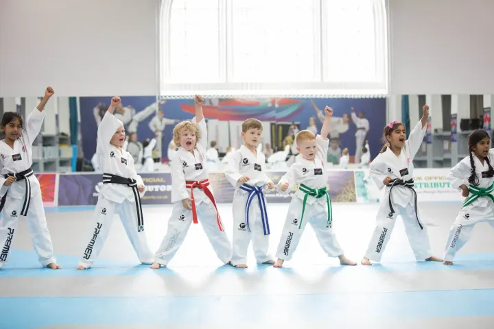 Premier Taekwondo Leeds — Martial Arts in Gledhow, Leeds