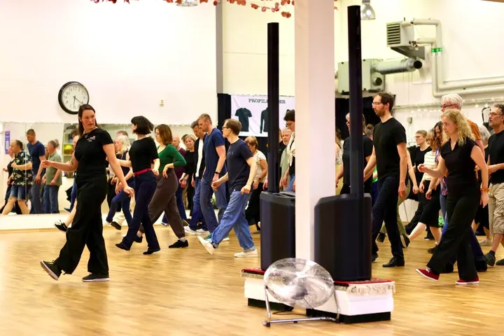 Lunds Dansklubb Gåsasteget — dans-studio i Lund — 5