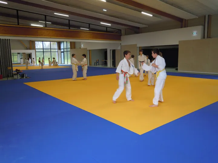 Judo Club Gouesnousien — Arts martiaux au Carpont, Gouesnou