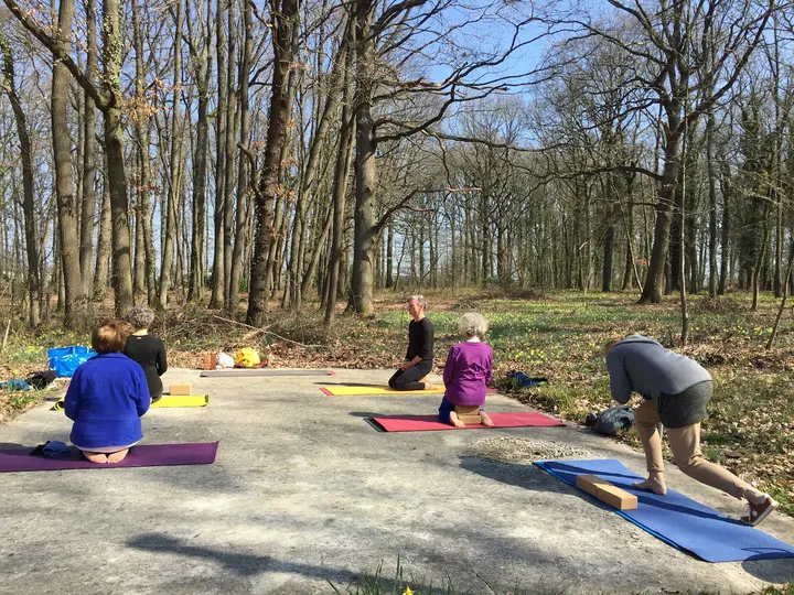 Natha Yoga France — yoga-studio à Ennery, Reims — 2