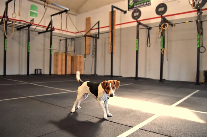 Tarbes Fitness Club — salle de fitness-studio à L'Arsenal, Tarbes — 3