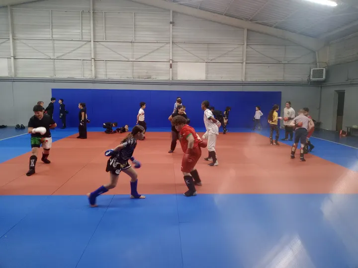 Muaythai-Nimois "TEAM RAMZI" — Arts martiaux à Mas de Chambaud, Nîmes