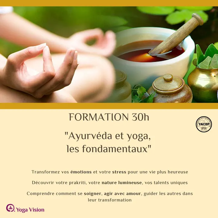 Yoga Vision RUE DU GENERAL BLAISE 75011 PARIS — yoga-studio à Paris 11e Arrondissement, Paris — 2