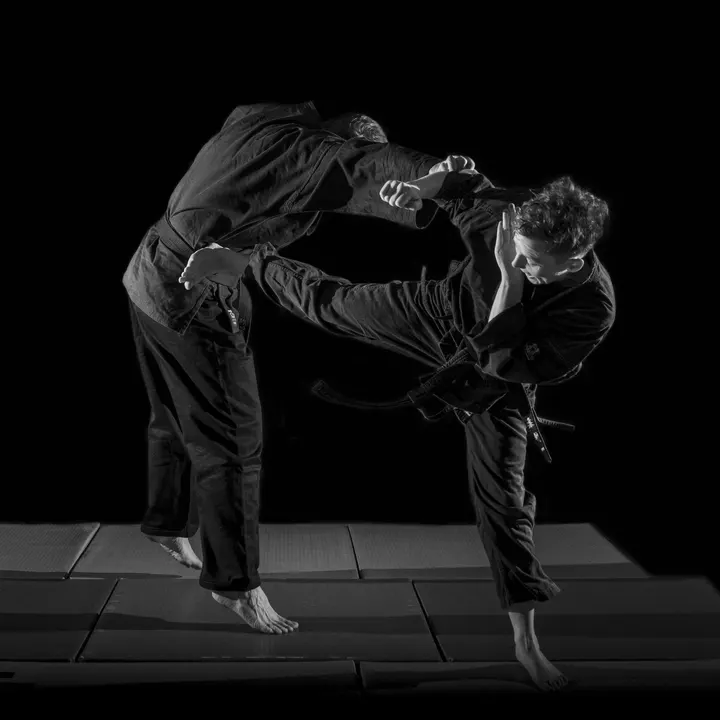 Daito - old school jiu jitsu — bjj-studio in Berlin — 2