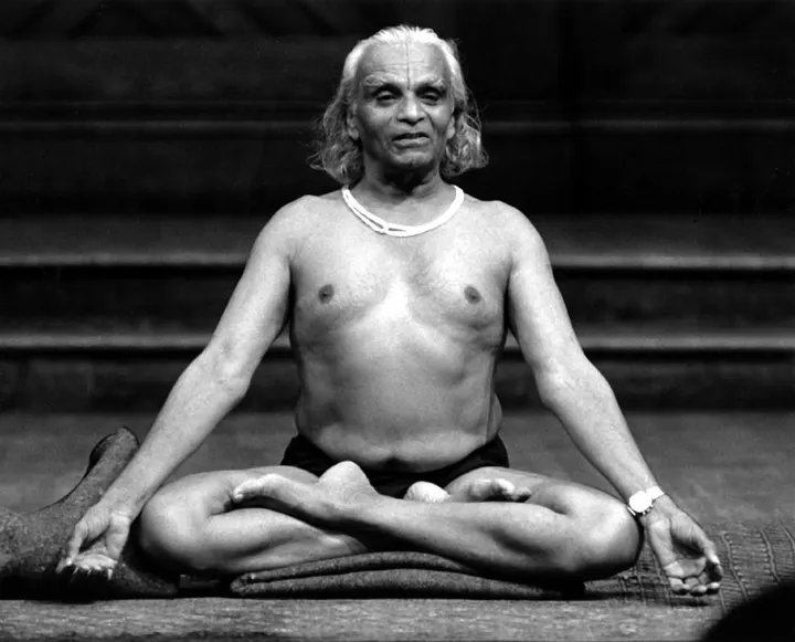 Centre de Yoga Iyengar — yoga-studio à Centre-Ville, Rennes — 3