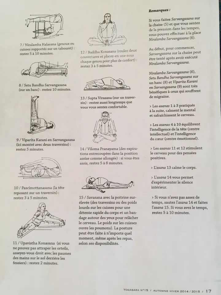 Centre de Yoga Iyengar — Yoga à Centre-Ville, Rennes