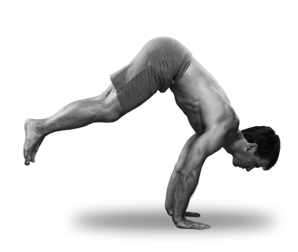 Barliner Workout - Skyline Studio — träningsstudio i Berlin — 2