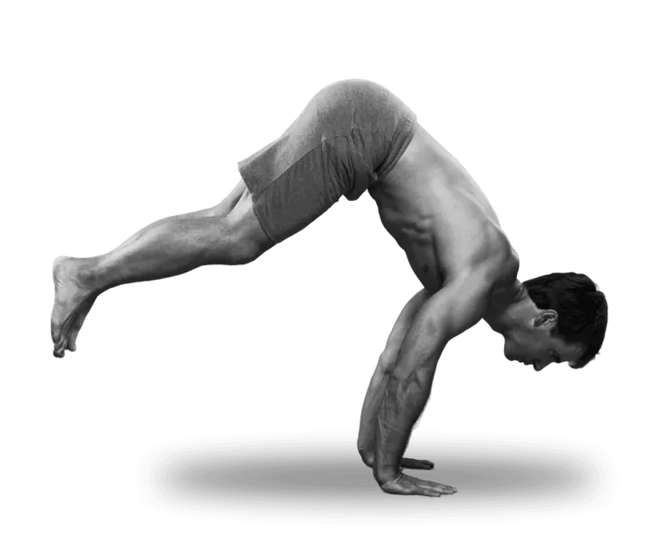 Barliner Workout - Skyline Studio — fitnessstudio in Tiergarten, Berlin — 2