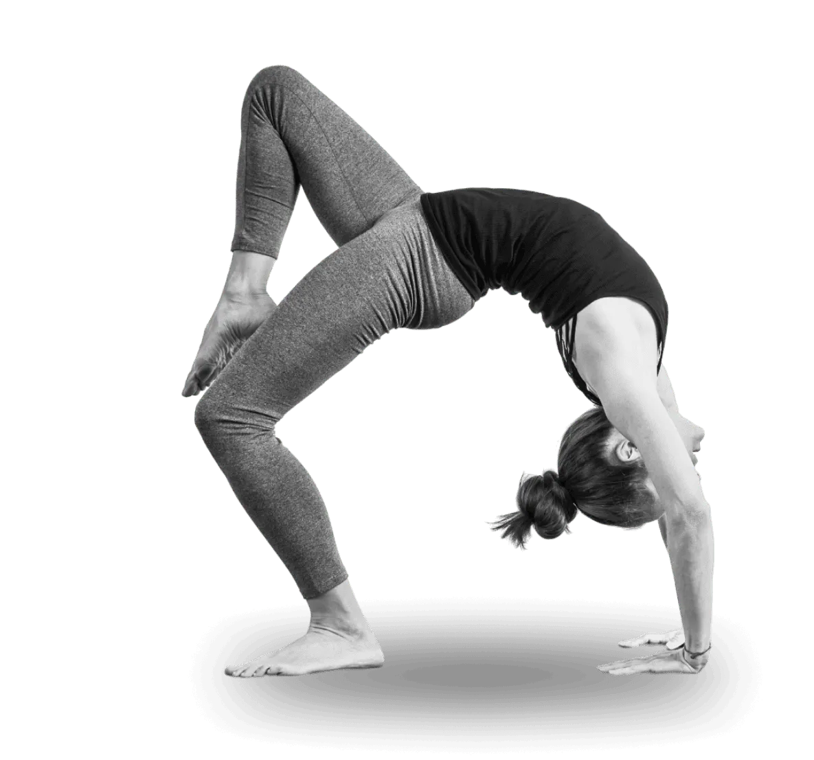 Barliner Workout - Skyline Studio — träningsstudio i Berlin — 3