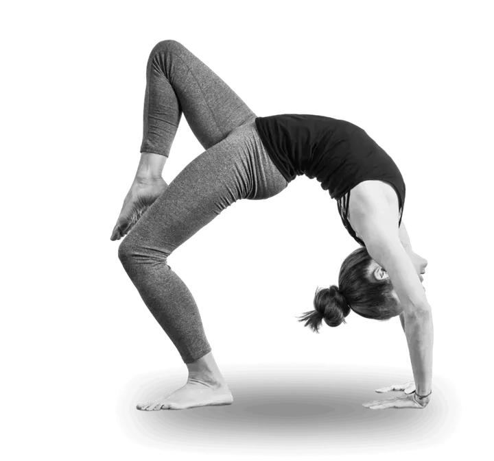 Barliner Workout - Skyline Studio — fitnessstudio in Tiergarten, Berlin — 3