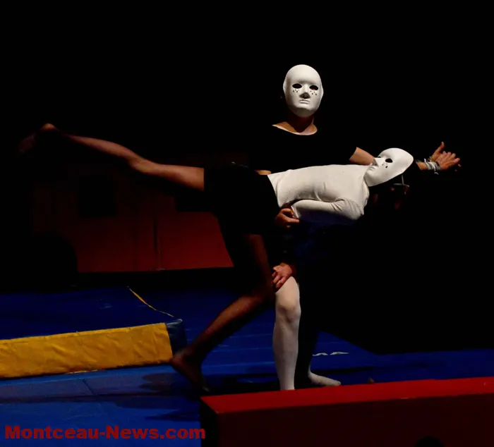 Fjep Ecole De Cirque Gus Circus — arts aériens-studio aux Brosses, Saint-Vallier — 3