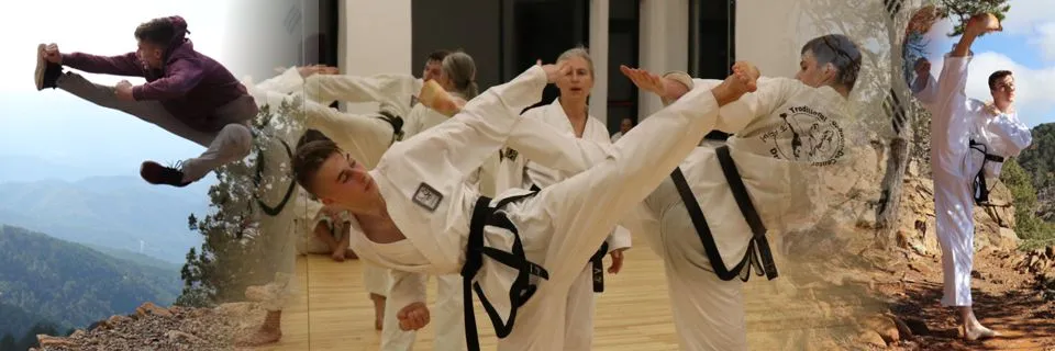 Taekwon-Do Center Dresden-Laubegast — kampfsport-studio in Dresden — 3