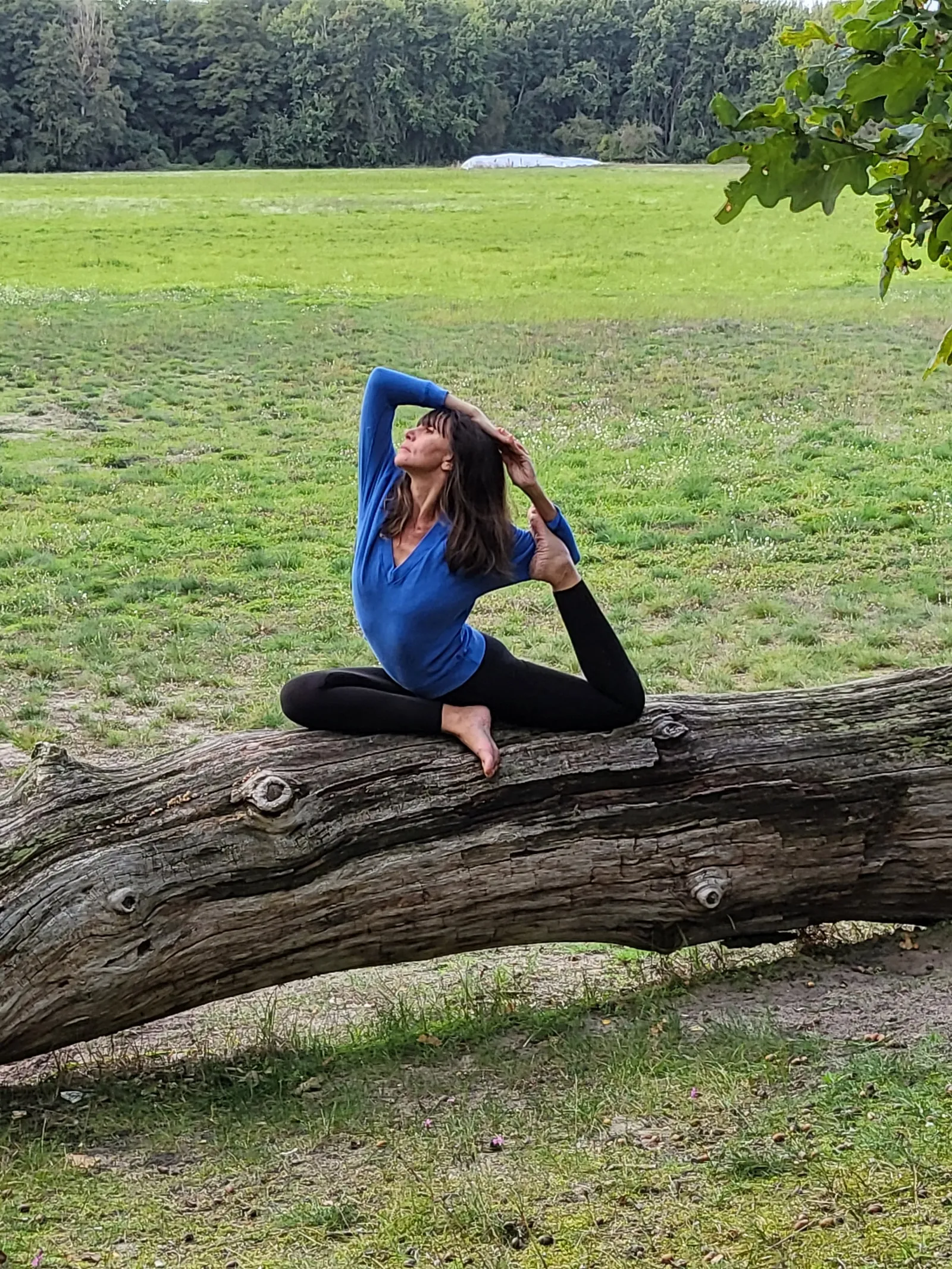 YOGALOFT Teltow — yoga-studio i Teltow — 5