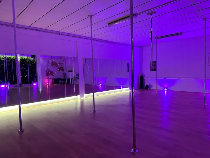 Le Studio Privé @Domont — pole fitness-studio à Paris — 5