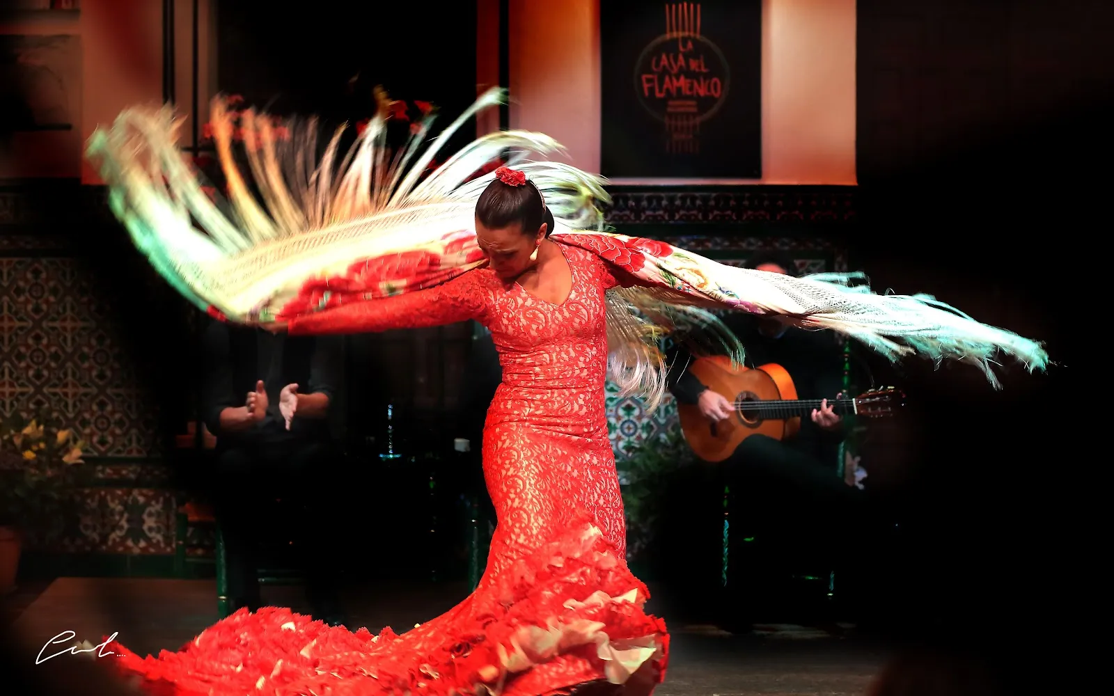 La Casa del Flamenco - Auditorio Alcántara — baile-studio en Sevilla — 3