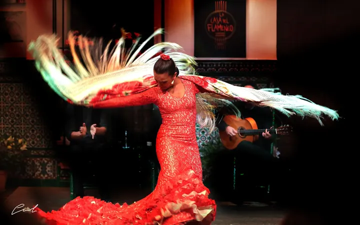 La Casa del Flamenco - Auditorio Alcántara — baile-studio en Santa Cruz, Sevilla — 3