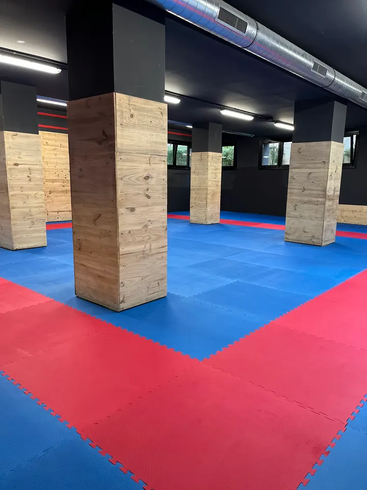 IRUKA Karate — artes marciales-studio en Algorta, Bilbao — 2