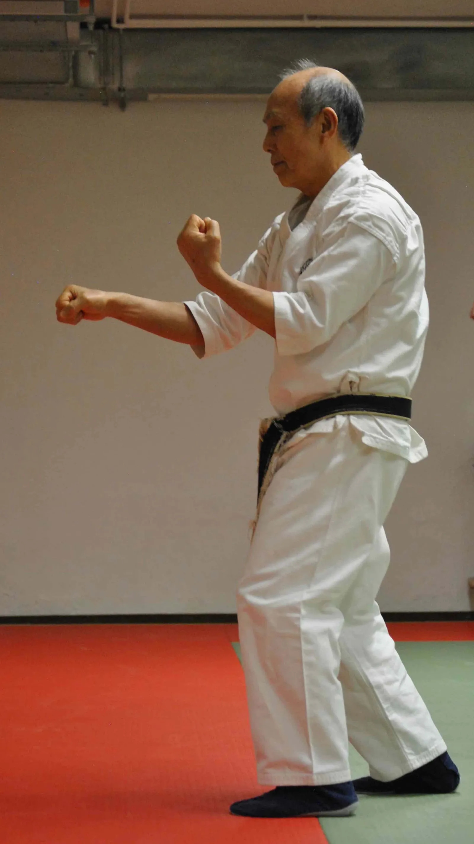 Kiyoshi Ogawa — kampfsport-studio in Düsseldorf — 3