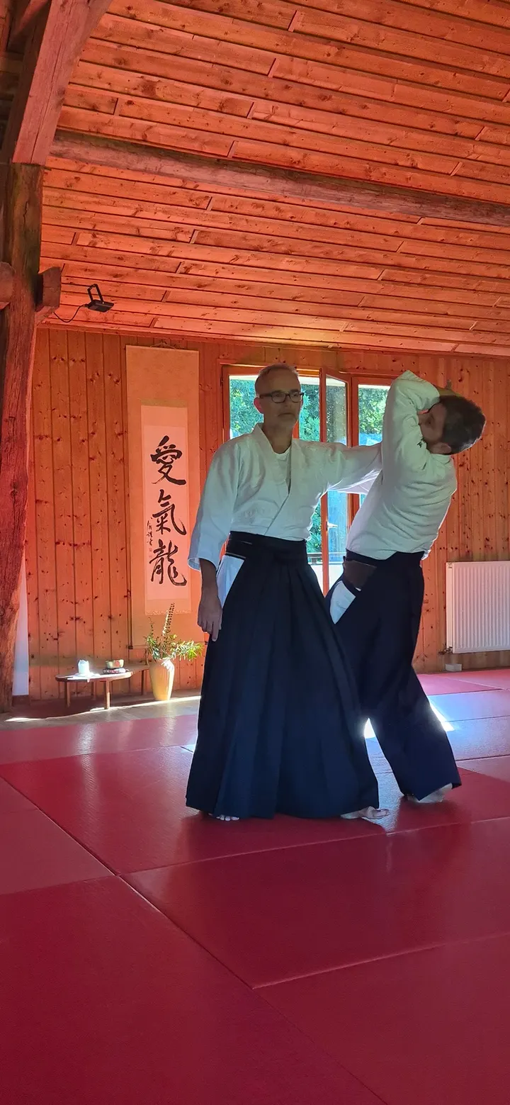AAPA Aïkiryu — arts martiaux-studio à Grenoble — 5