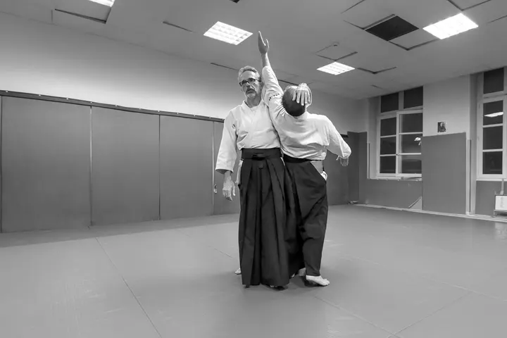 AAPA Aïkiryu — Arts martiaux à Secteur 2, Grenoble