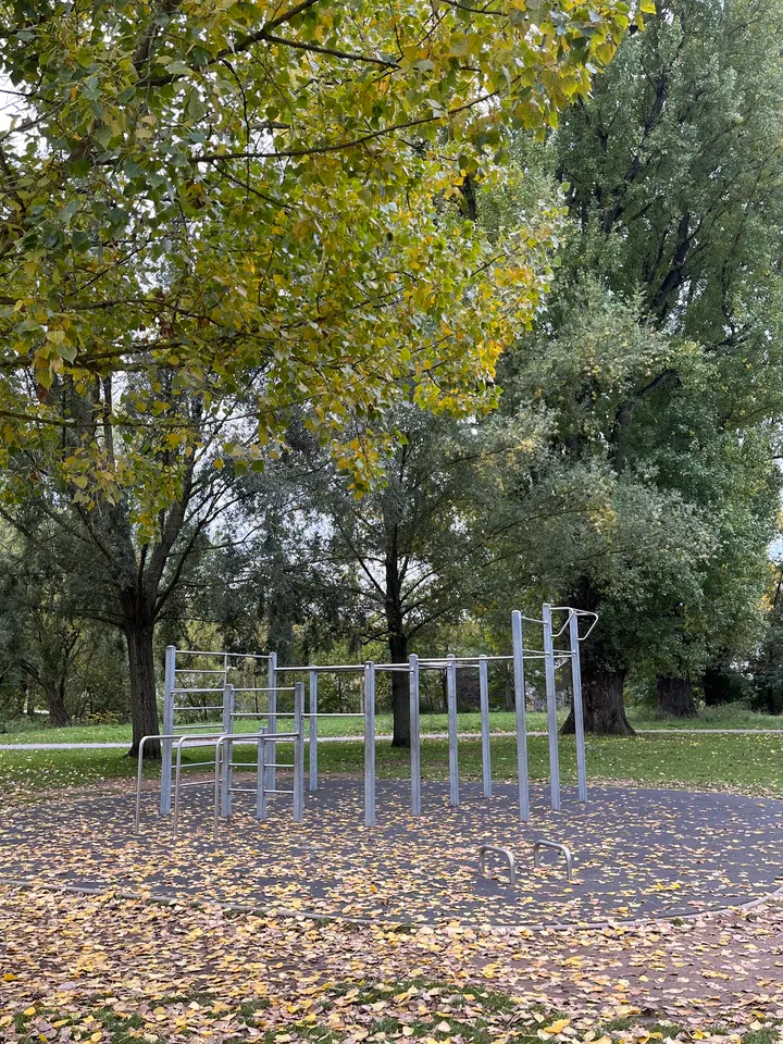 Calisthenics-Park Fürth — calisthenics-studio in Fürth — 3