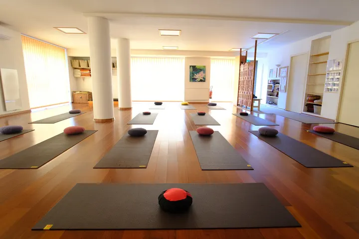 Centre Vie En Yoga — yoga-studio à Secteur 2, Grenoble — 2