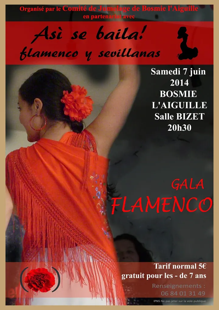 asi se baila flamenco limoges — danse-studio aux Émailleurs, Limoges — 2