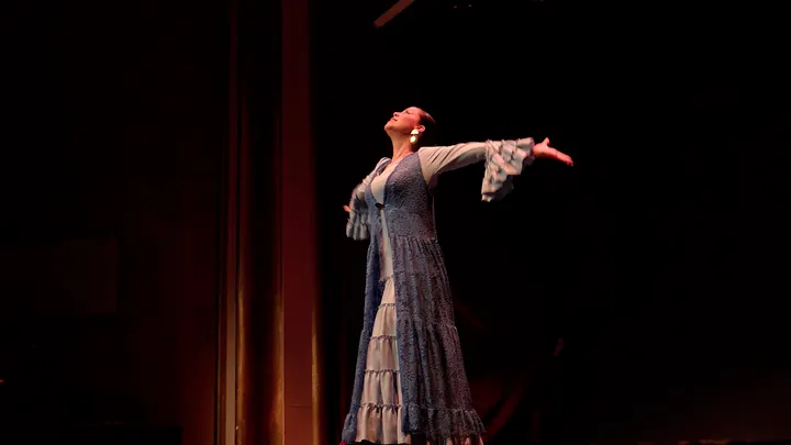 Escuela De Flamenco Y Danza Mara Palacios — baile-studio en Cáceres — 5