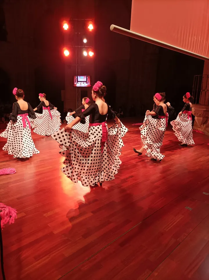 Escuela De Flamenco Y Danza Mara Palacios — Baile en Moctezuma, Cáceres