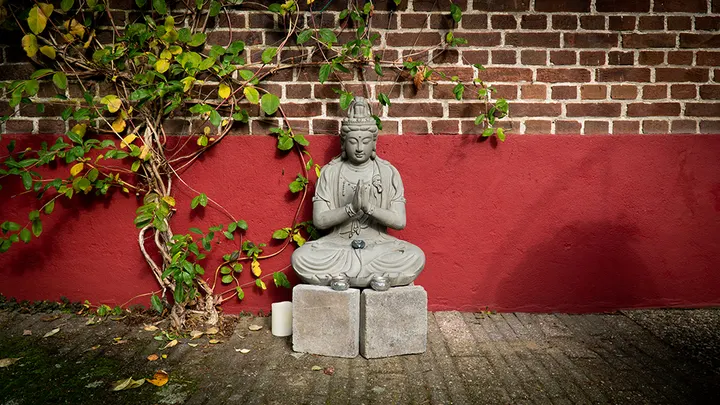 Maaike Kraaikamp — yoga-studio in Veluvia, Wageningen — 3