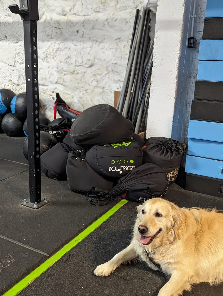 Farmer CrossFit & Yoga Plaisir — crossfit-studio à Plaisir — 3