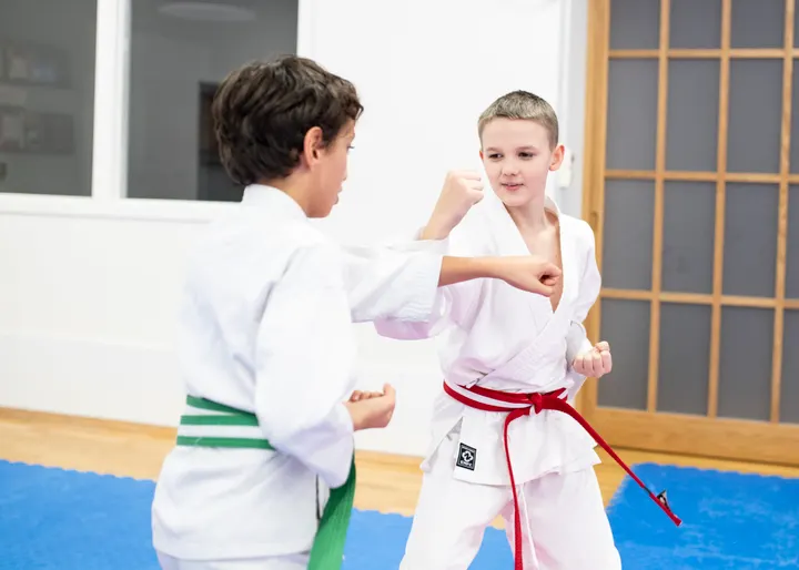 Zendokai karate — kampsport-studio i Halmstad — 3