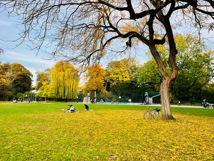 Calisthenics Park im Zoopark — calisthenics-studio in Düsseldorf — 3