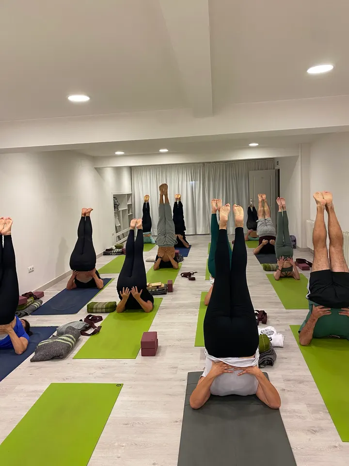 Yoga Integral Gijón — yoga-studio en Gijón — 4