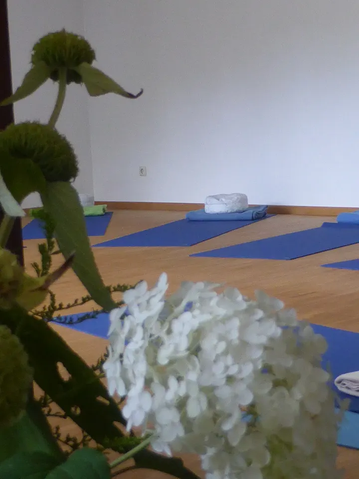omkāra yogaschule Ingolstadt und Neuburg — yoga-studio in Im Freihöfl, Ingolstadt — 2