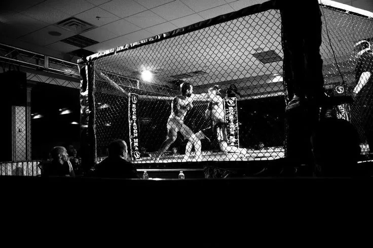 Contact Murcia MMA — kampsport-studio i Murcia — bild 5