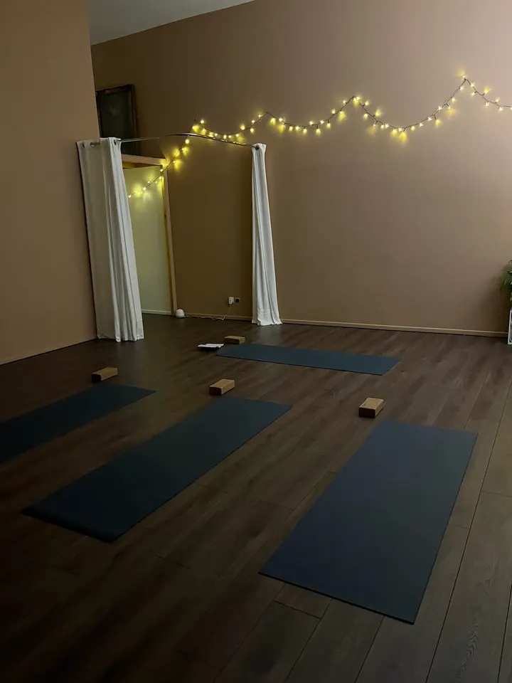 yoga with cab 7e Arrondissement — yoga-studio à Lyon 7e Arrondissement, Lyon — 3