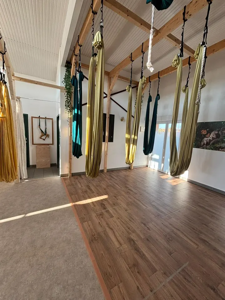 Le ZenLab par Laure RIOBE — yoga-studio à L'Union, Toulouse — 3