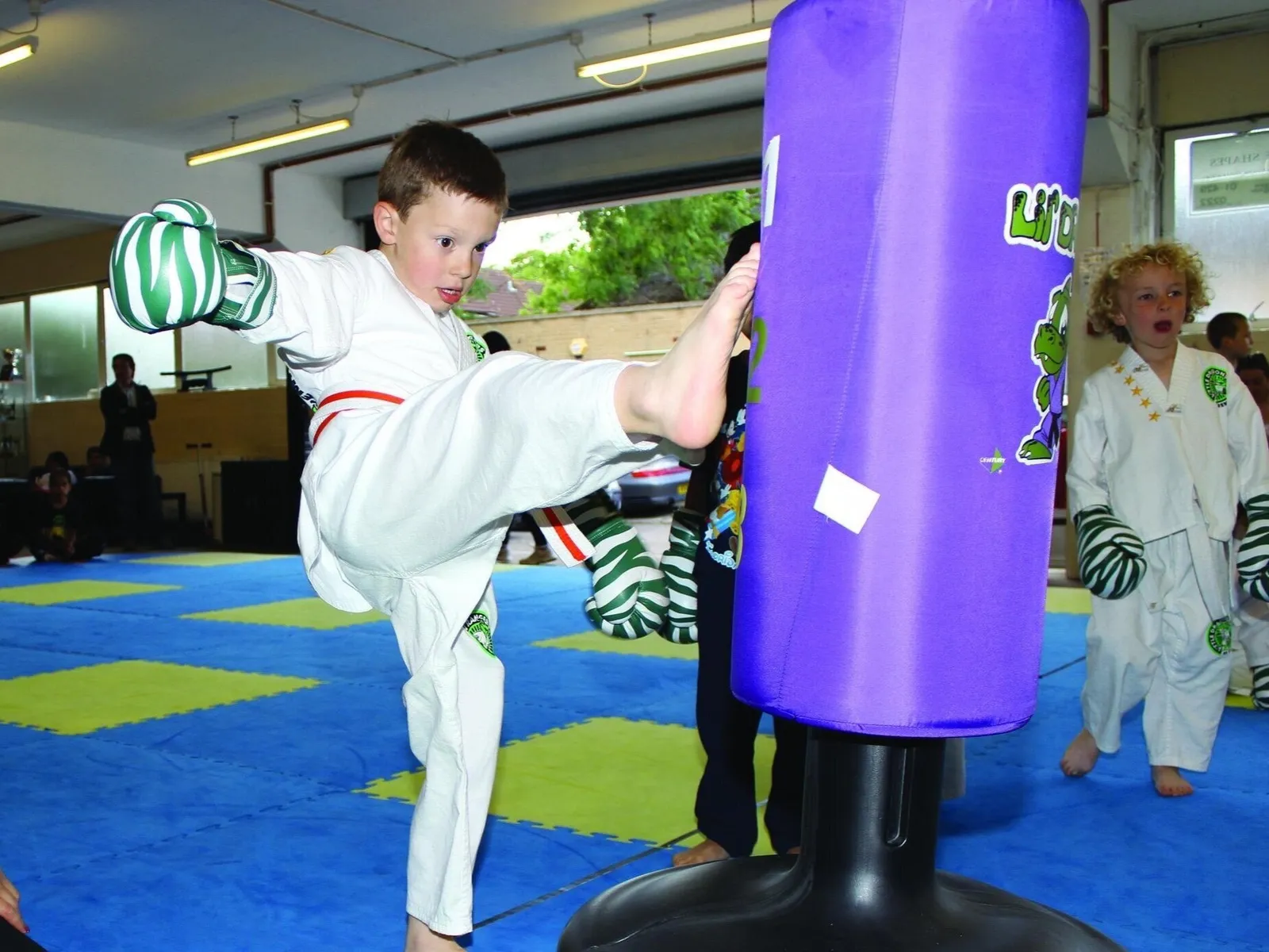 Premier Kickboxing & Brazilian Jiu-Jitsu — bjj-studio in Newton Abbot — 2