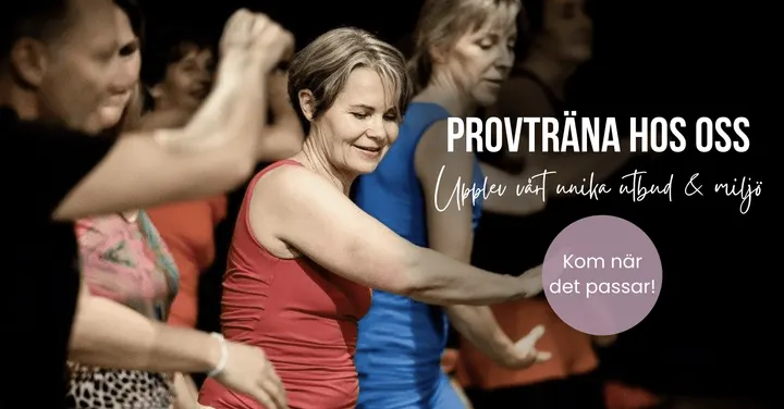 Nia Movement — dans-studio i Göteborg — 3