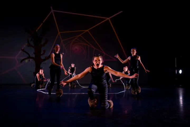 Jes! Dance Center — dans-studio in Oude Vaart, Terneuzen — 2