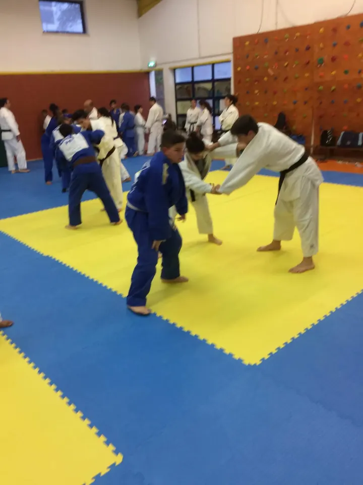 Academia de Judo de Quarteira — artes marciais-studio em Vilamoura, Quarteira — 3