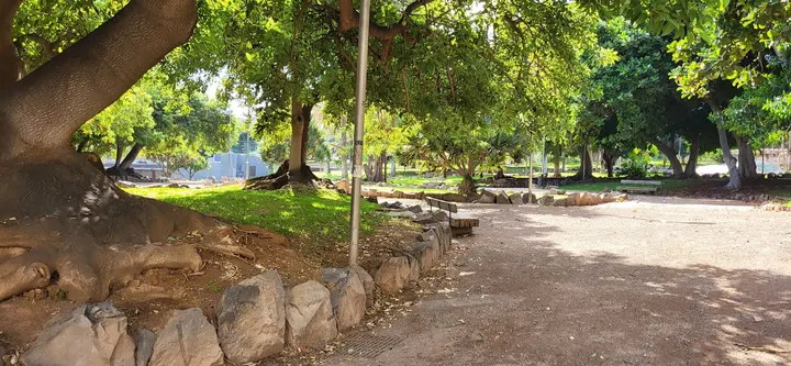 Calistenia Tenerife Barmanía Park — calisthenics-studio en Santa Cruz de Tenerife — 4