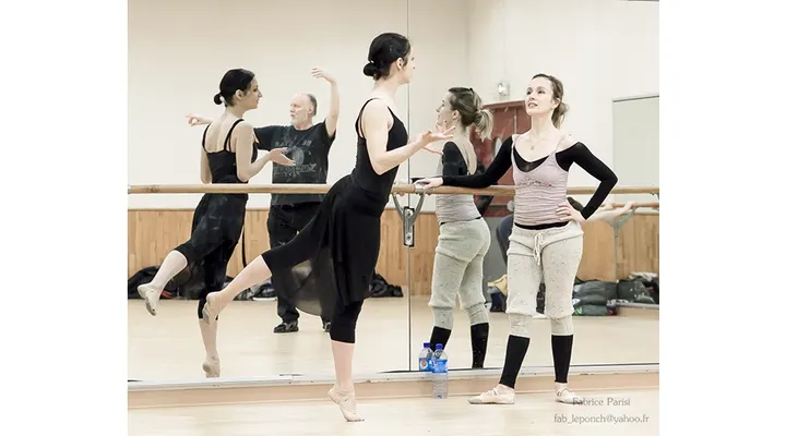 Cyberdanse Paris 5 Rue Léon Schwartzenberg — danse-studio à Paris — 6