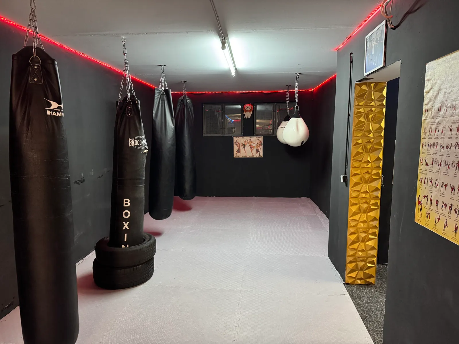 Golden Lion Fight Club — muay thai-studio i Stuttgart — 4