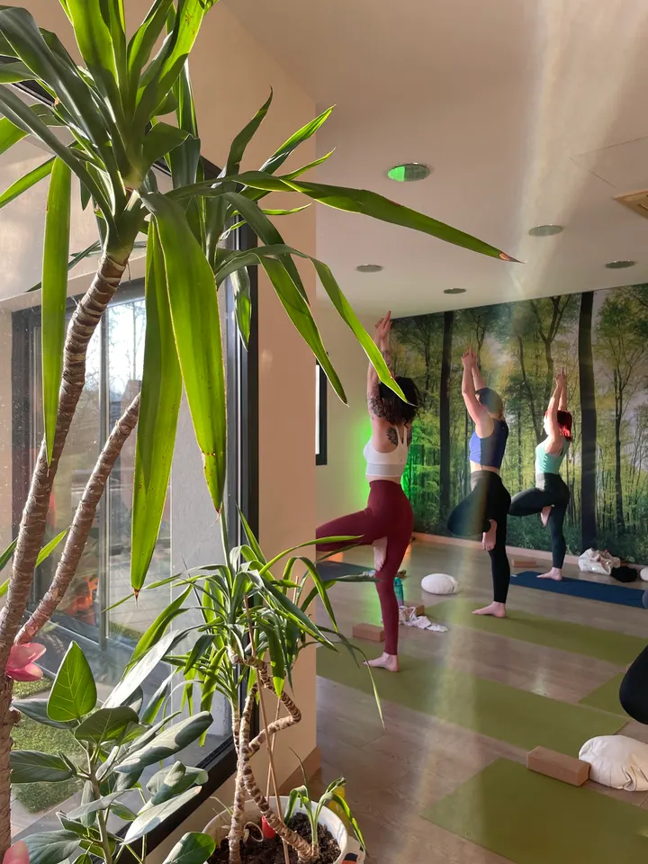 Padma Yoga France Ahuy — yoga-studio à Ahuy — 4