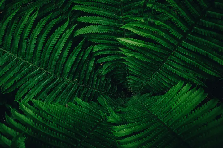 Les Liens — méditation-studio à Paris — 3