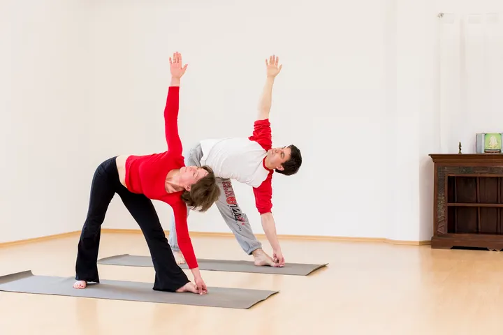 Phoenix arising - Yoga & Bewusstseinstraining in Dresden und Freital — yoga-studio in Plauen, Dresden — 2