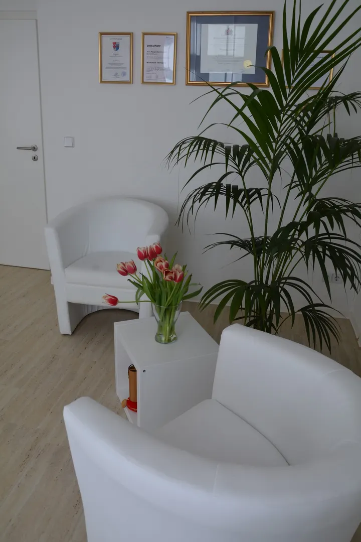 Praxis für Osteopathie,Yoga und Naturhei — yoga-studio in Leipzig — 3