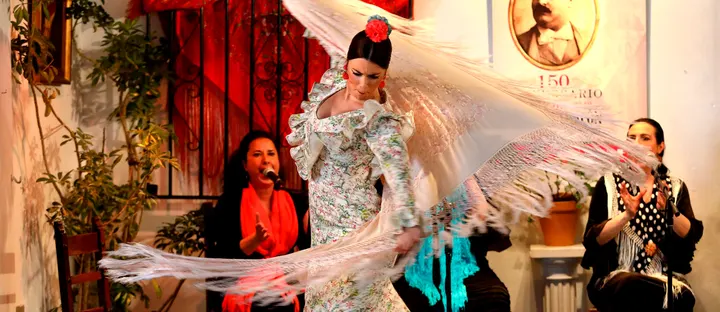 Escuela de Baile Flamenco Diana Andrades — Dance en Sudamérica, El Puerto de Sta María